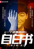 一个销售员的自白书免费完结