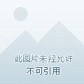 只有我知道的世界
